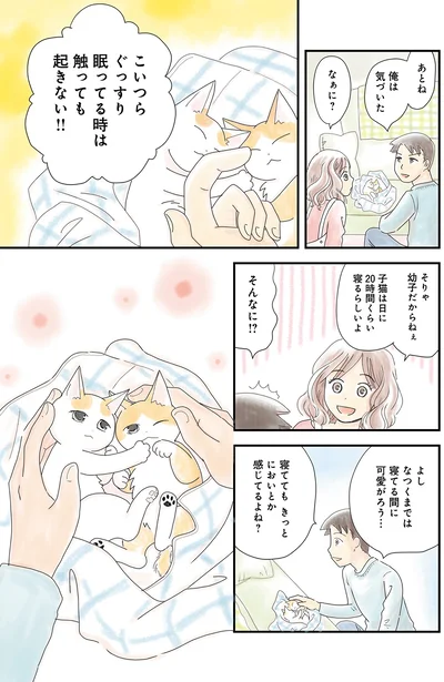 こいつらぐっすり眠ってる時は触っても起きない！！