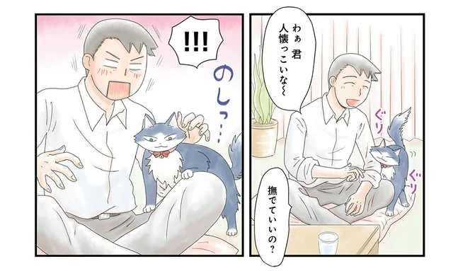 人見知りしない猫にメロメロ。上司宅で出会った飼い猫が超ラブリー／飼い猫がなつきません（4）