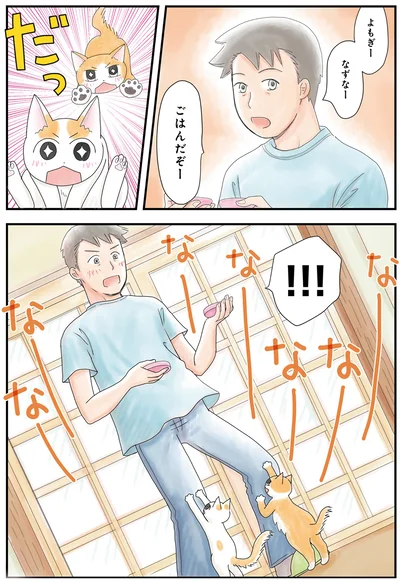 ごはんだぞー