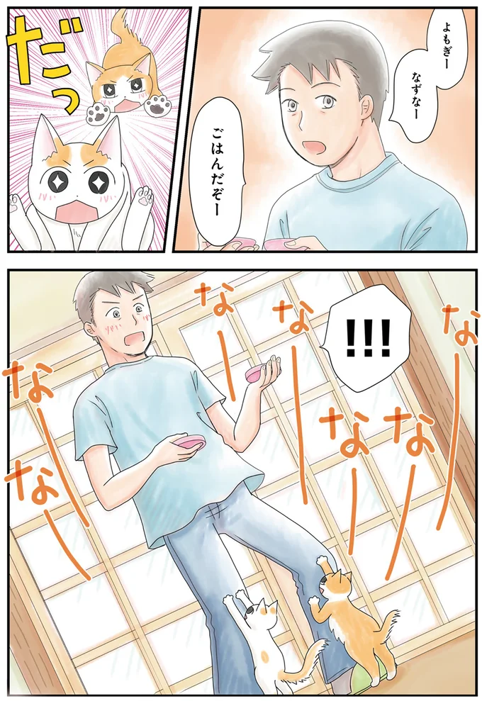 ごはんだぞー