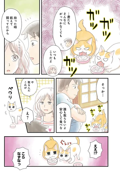 …君たちそんなにがっつかなくても