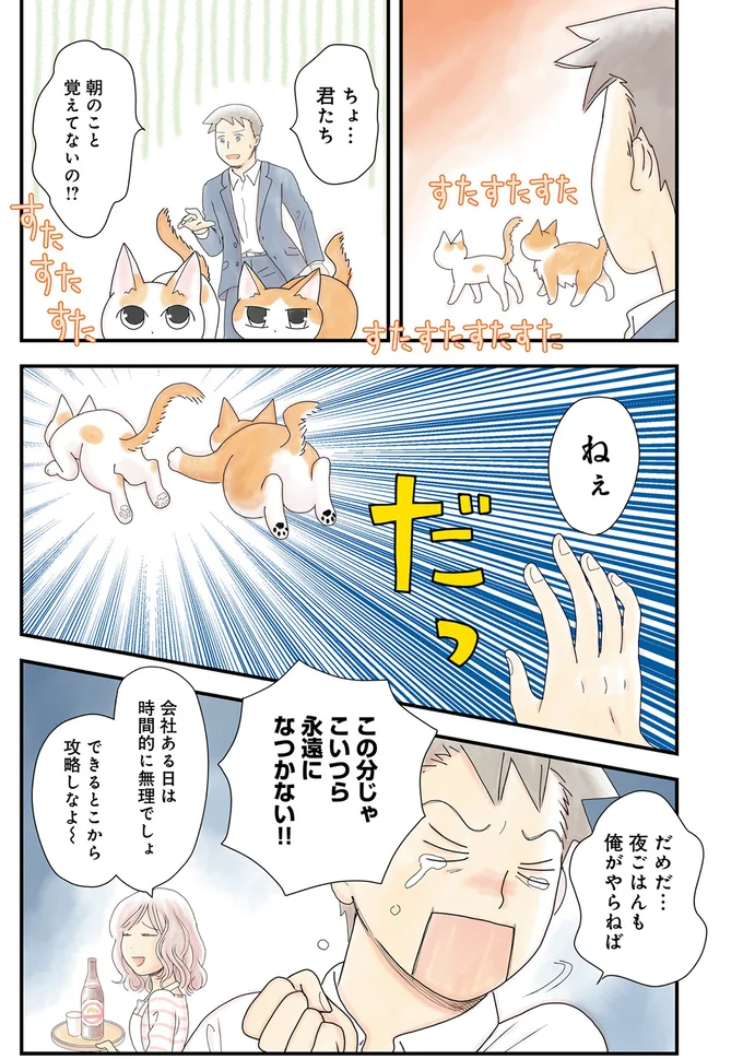 この分じゃこいつら永遠になつかない！！