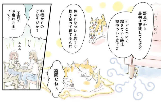 猫は神様からのご褒美?