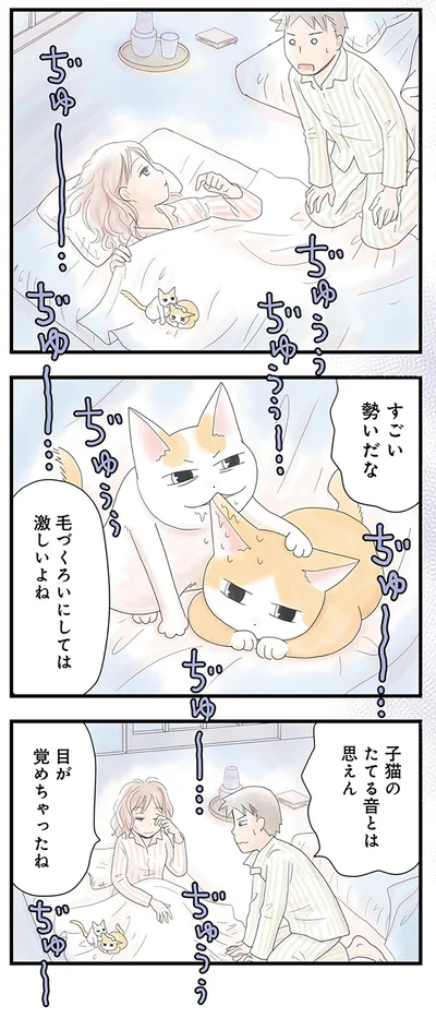 目が覚めちゃったね