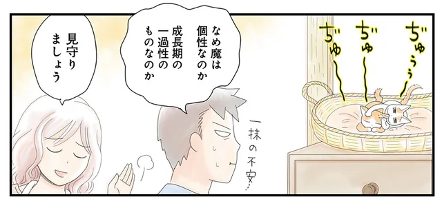 成長期による一過性のものであれ！ 「チビ妖怪なめ魔」爆誕／飼い猫がなつきません（7）