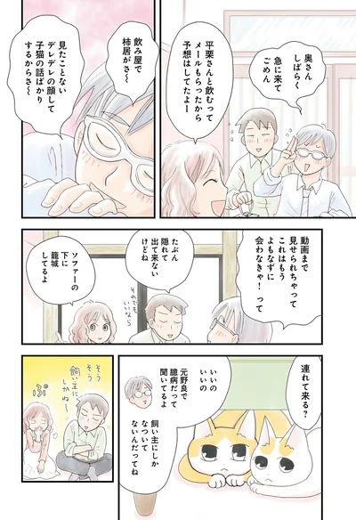 見たことないデレデレの顔して　猫の話ばかりするからさ～
