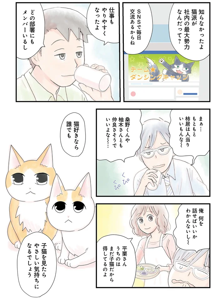 子猫を見たらやさしい気持ちになるでしょう