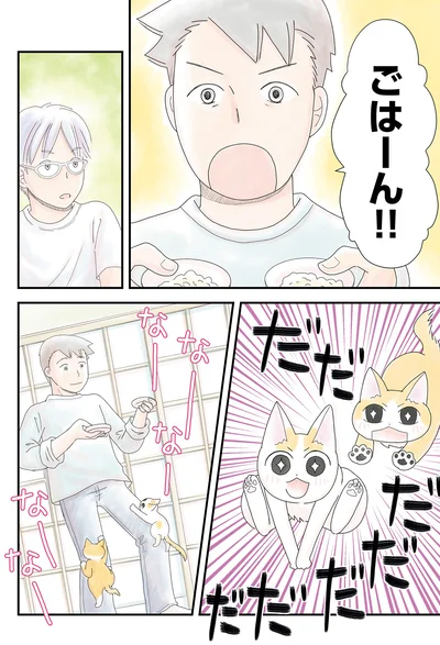 ごはーん！！