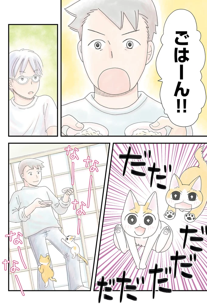 ごはーん！！