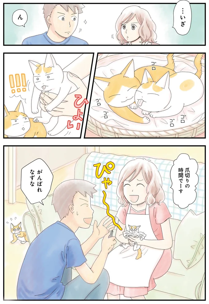 がんばれなずな