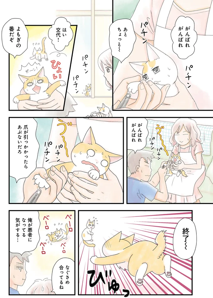 よもぎの番だぞ