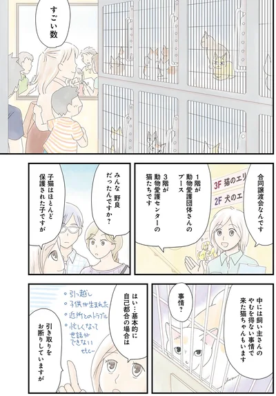 みんな野良だったんですか？