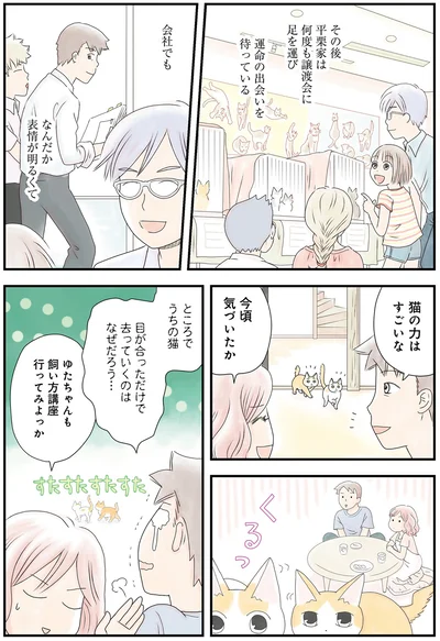 猫の力はすごいな