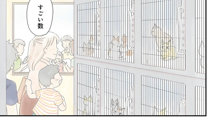 猫を飼うために譲渡会へ