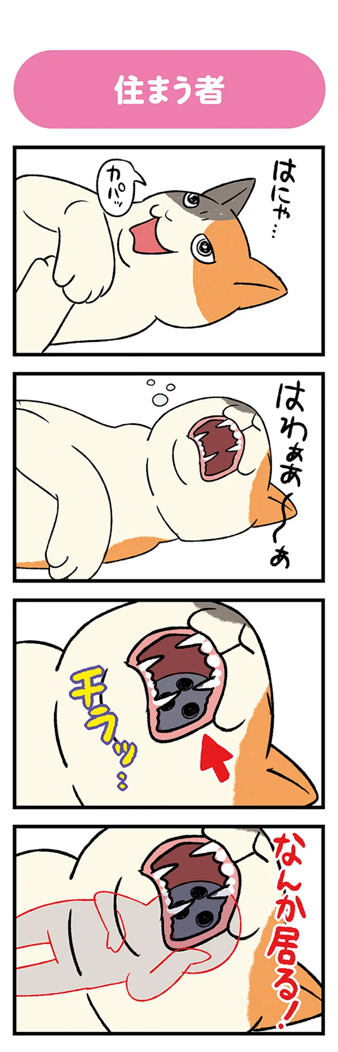 チラッ…