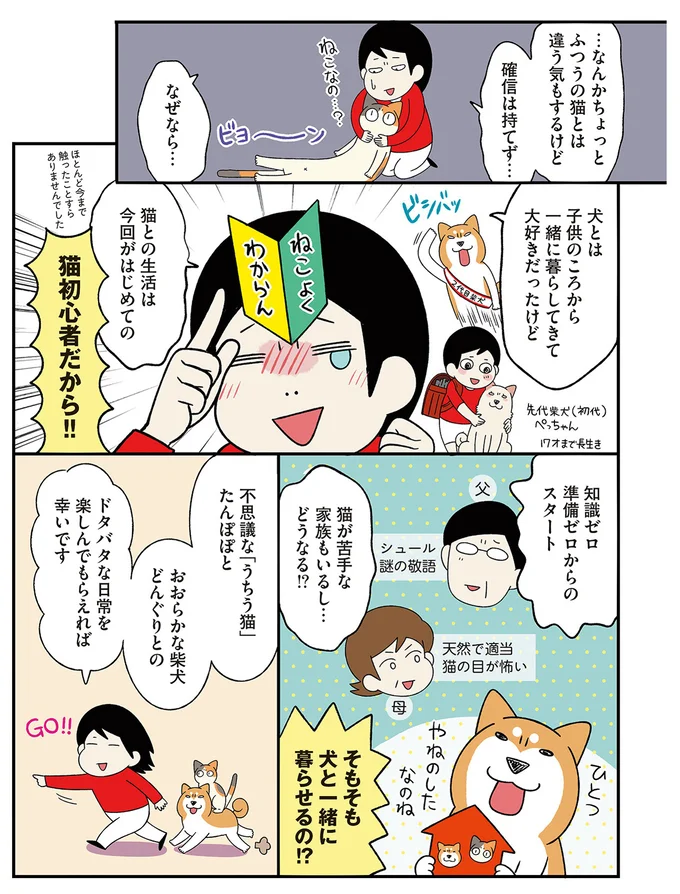 知識ゼロ、準備ゼロからのスタート