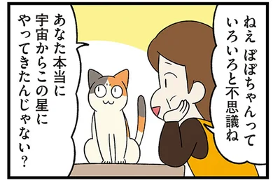 地球のものさしでは測れない？我が家にやってきた摩訶不思議な猫