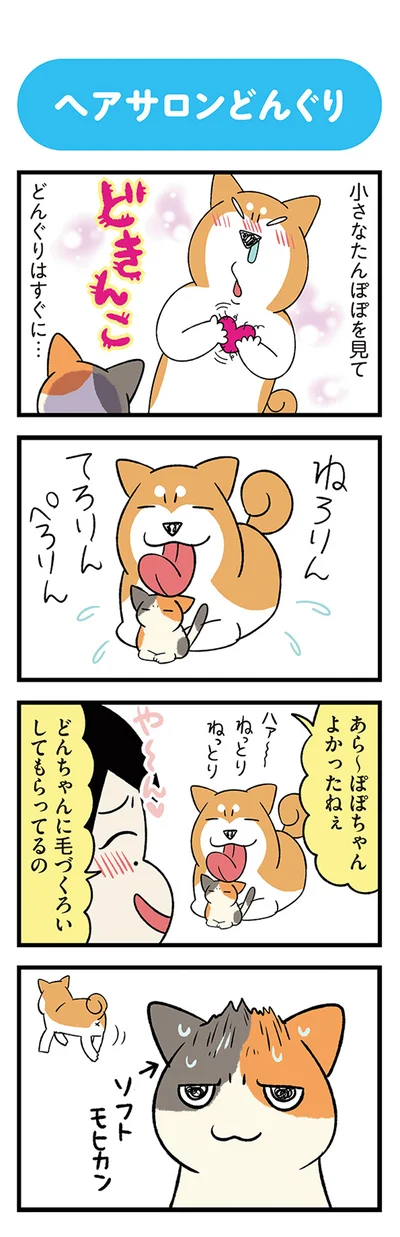 『うちう猫と柴犬』より