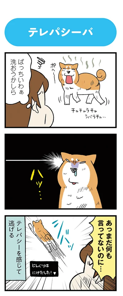 『うちう猫と柴犬』より
