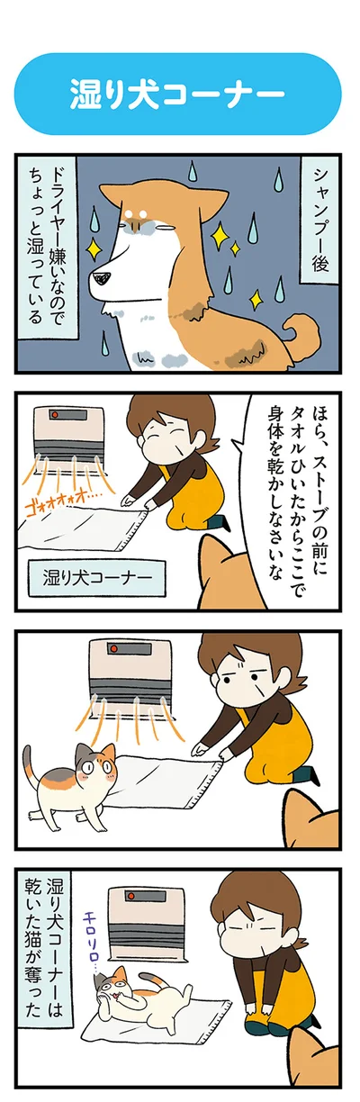 『うちう猫と柴犬』より