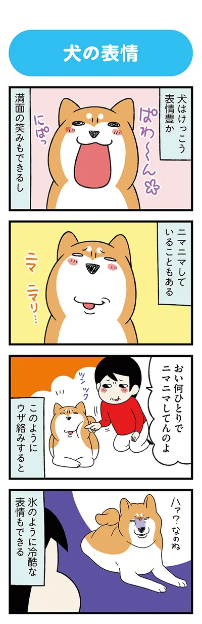 犬はけっこう表情豊か
