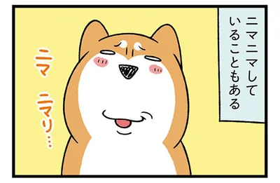 結局どっちも最高！犬と猫の表情の差をじっくり観察してみた
