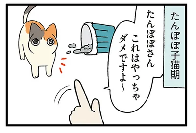 「やったらダメだよ」飼い主からの注意、子犬と子猫の反応が違いすぎた