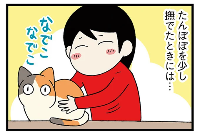 さびしい思いをさせないように。先住犬に気を遣う飼い主のなで方