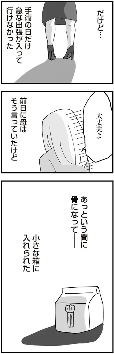 『長男の嫁ってなんなの？』より