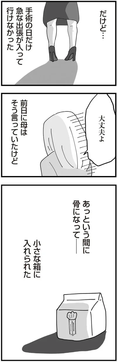 母はそう言っていたけど