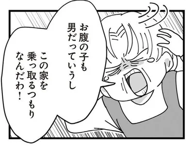 この家を乗っ取るつもりなんだわ！