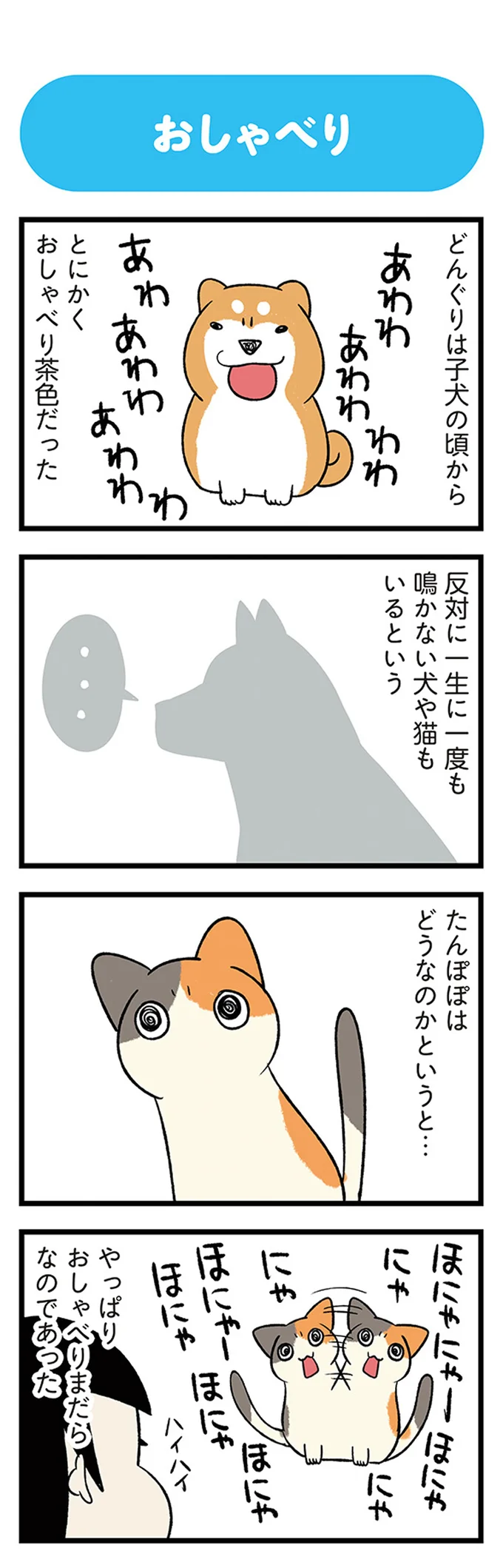 とにかくおしゃべり