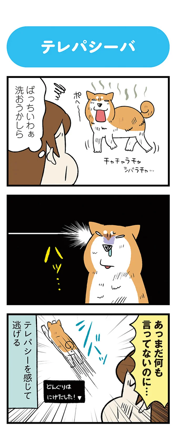 あっ　まだ何も言ってないのに…