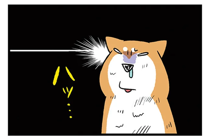 とっさにピンチを察知!?何も言っていないのに逃げ出した柴犬／うちう猫と柴犬（10）