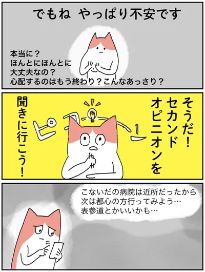 『アラサー会社員の乳がんの備忘録』より