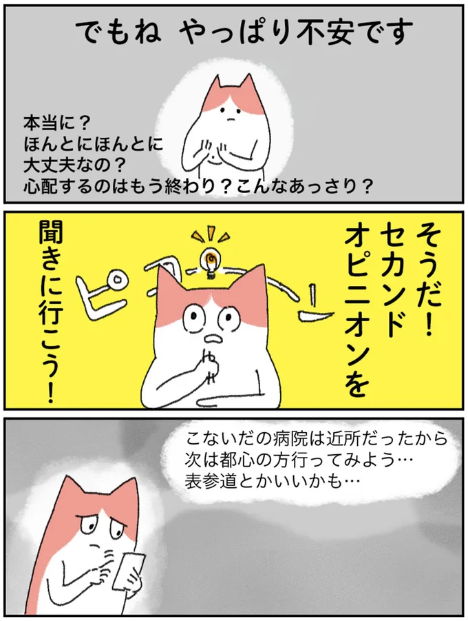 『アラサー会社員の乳がんの備忘録』より