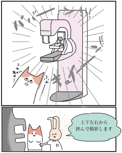 『アラサー会社員の乳がんの備忘録』より