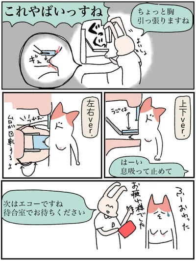 『アラサー会社員の乳がんの備忘録』より