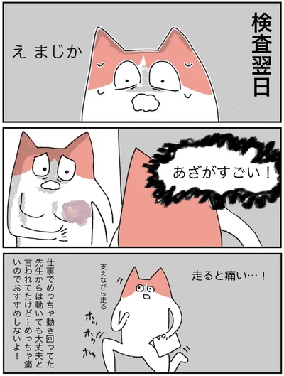 『アラサー会社員の乳がんの備忘録』より