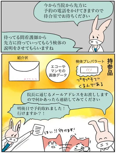 『アラサー会社員の乳がんの備忘録』より