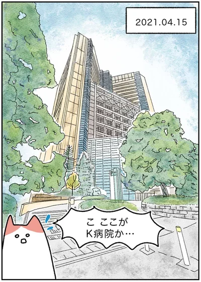 『アラサー会社員の乳がんの備忘録』より