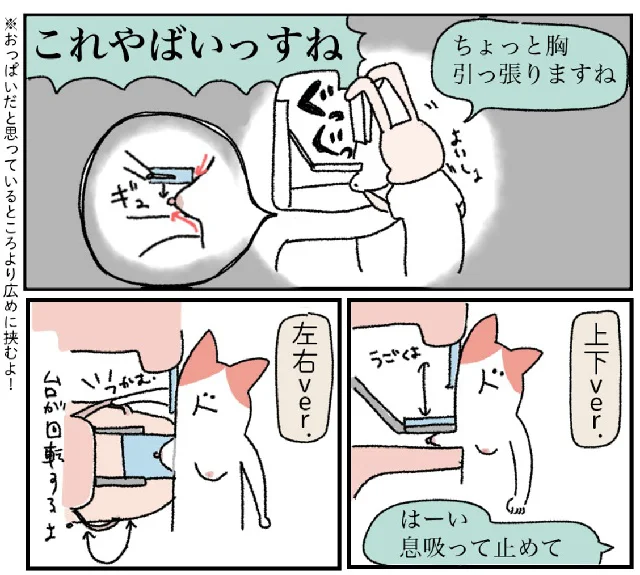 『アラサー会社員の乳がんの備忘録』より