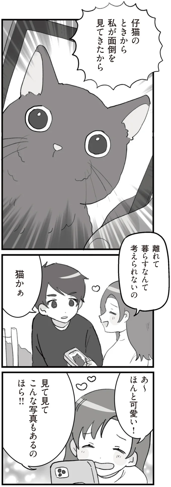 猫かぁ