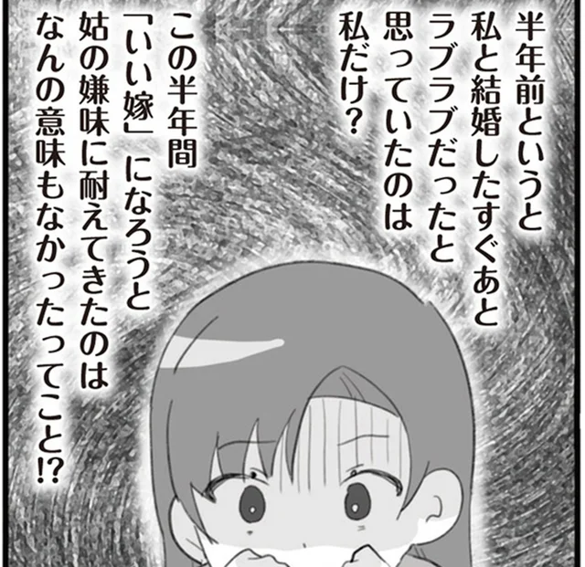 半年前から始まっていた⁉夫のSNSで見つけた浮気の痕跡／旦那の浮気を仕掛けた黒幕は姑でした（11）