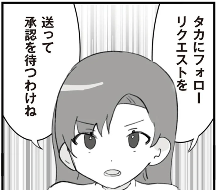 不倫を突き止めるために！夫の裏アカにフォローリクエスト／旦那の浮気を仕掛けた黒幕は姑でした（12）