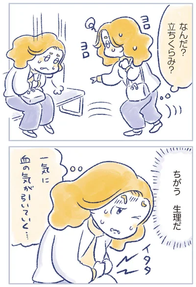 『私の生理のしまい方』より