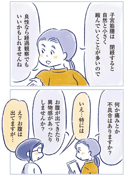 『私の生理のしまい方』より