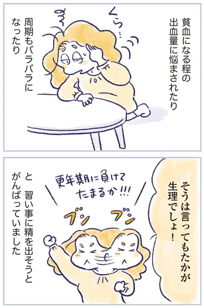 『私の生理のしまい方』より