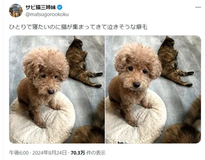 ひとりで寝たいのに…▶あん子ちゃんの表情がなんともいえません（⇒次へ）