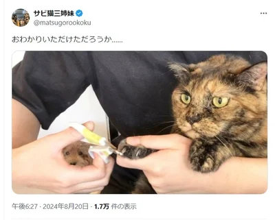 おわかりいただけただろうか…▶カメラ目線のワンコはどこ！？（⇒次へ）